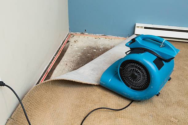 Best Water damage cleanup near me  in Emporia, VA
